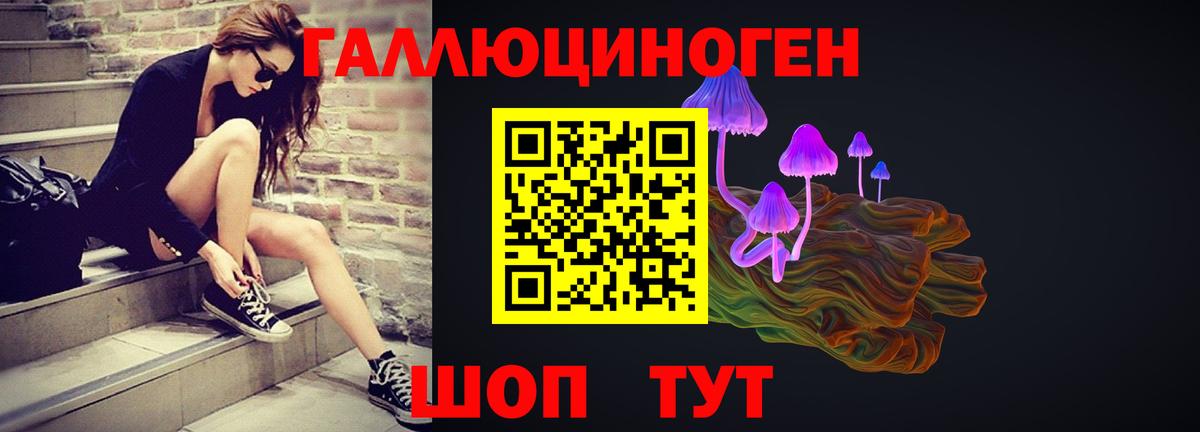 Приморско-Ахтарск  Галлюциногенные грибы GOLDEN TEACHER  Вход с VPN 